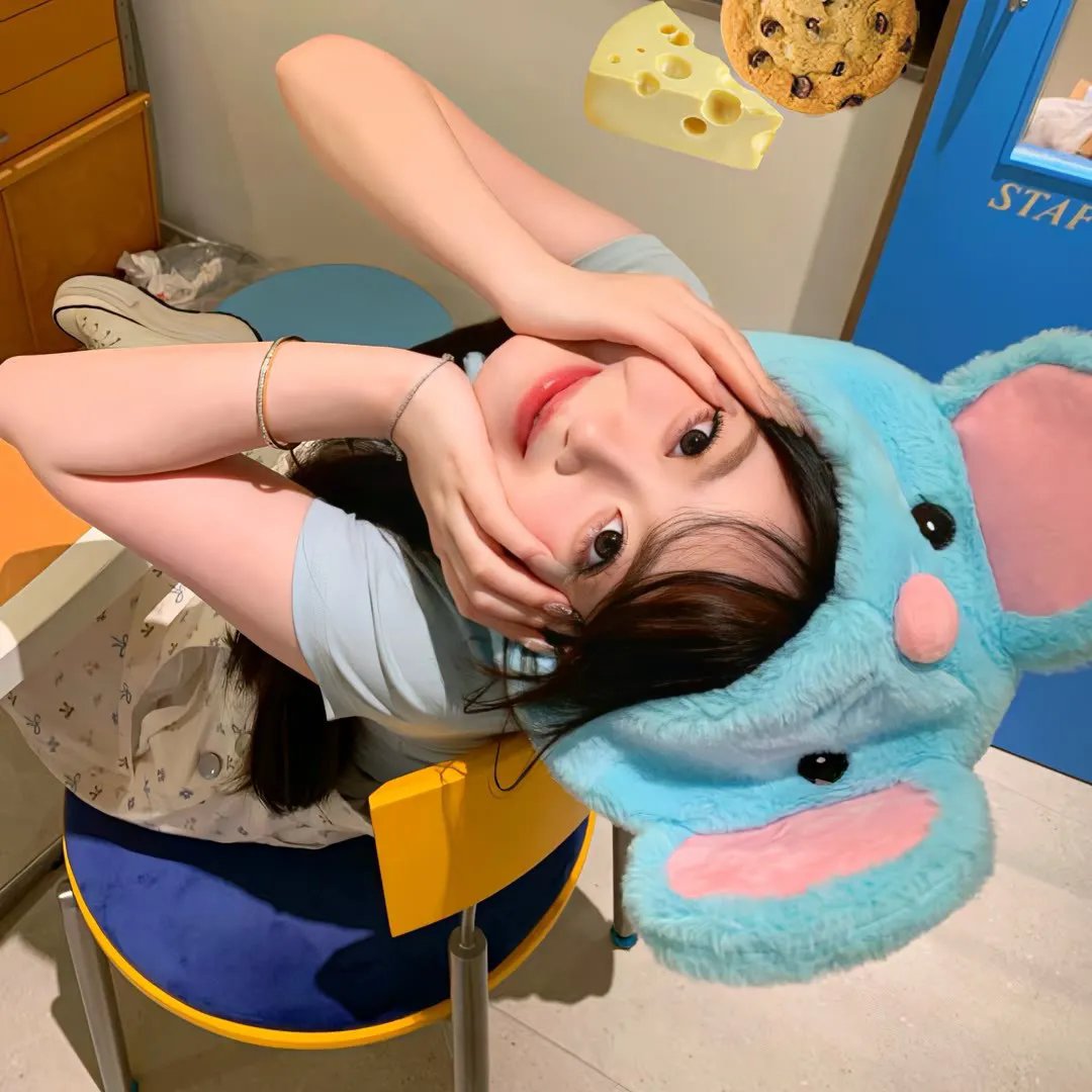 你和我的时光